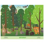 Forest Animals